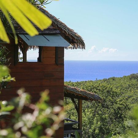 Vila Domaine Karaibes Deshaies Exteriér fotografie