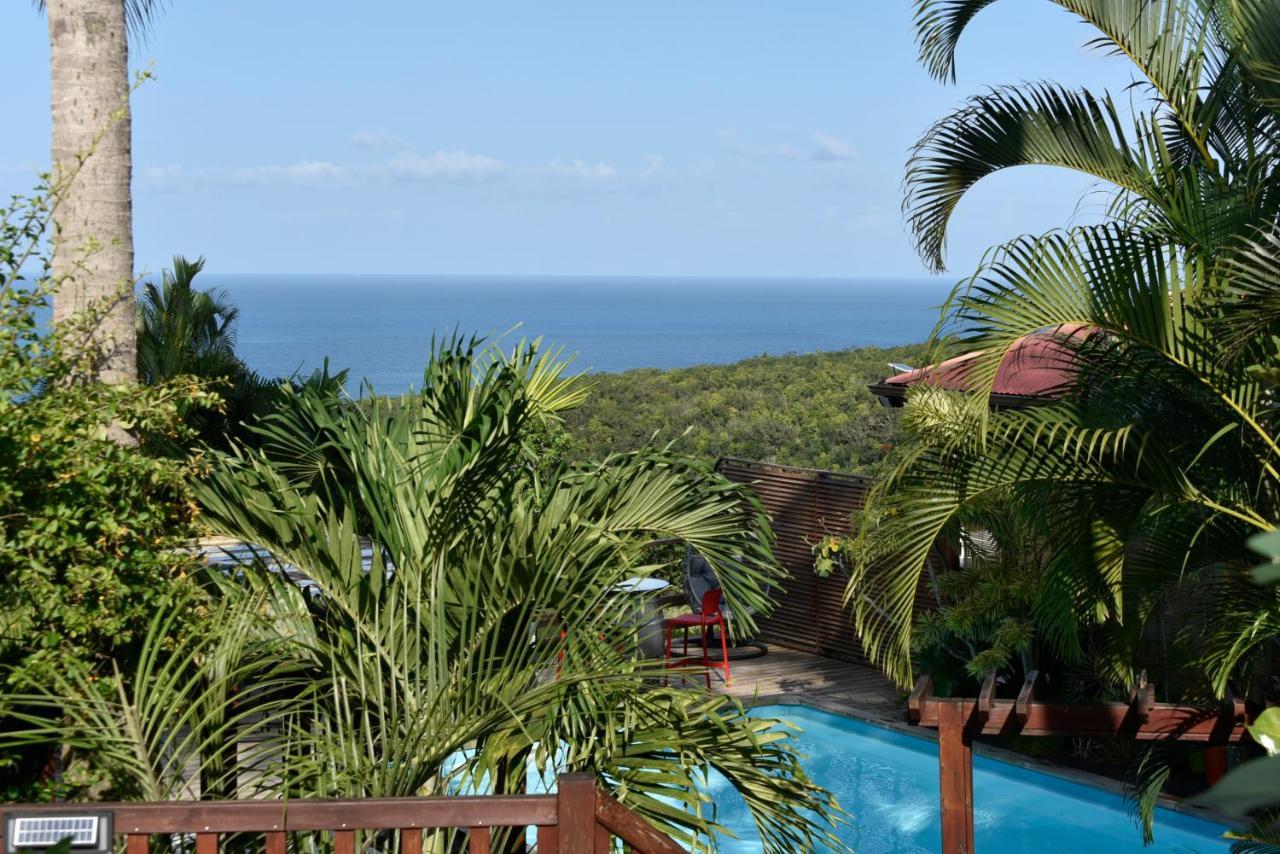Vila Domaine Karaibes Deshaies Exteriér fotografie