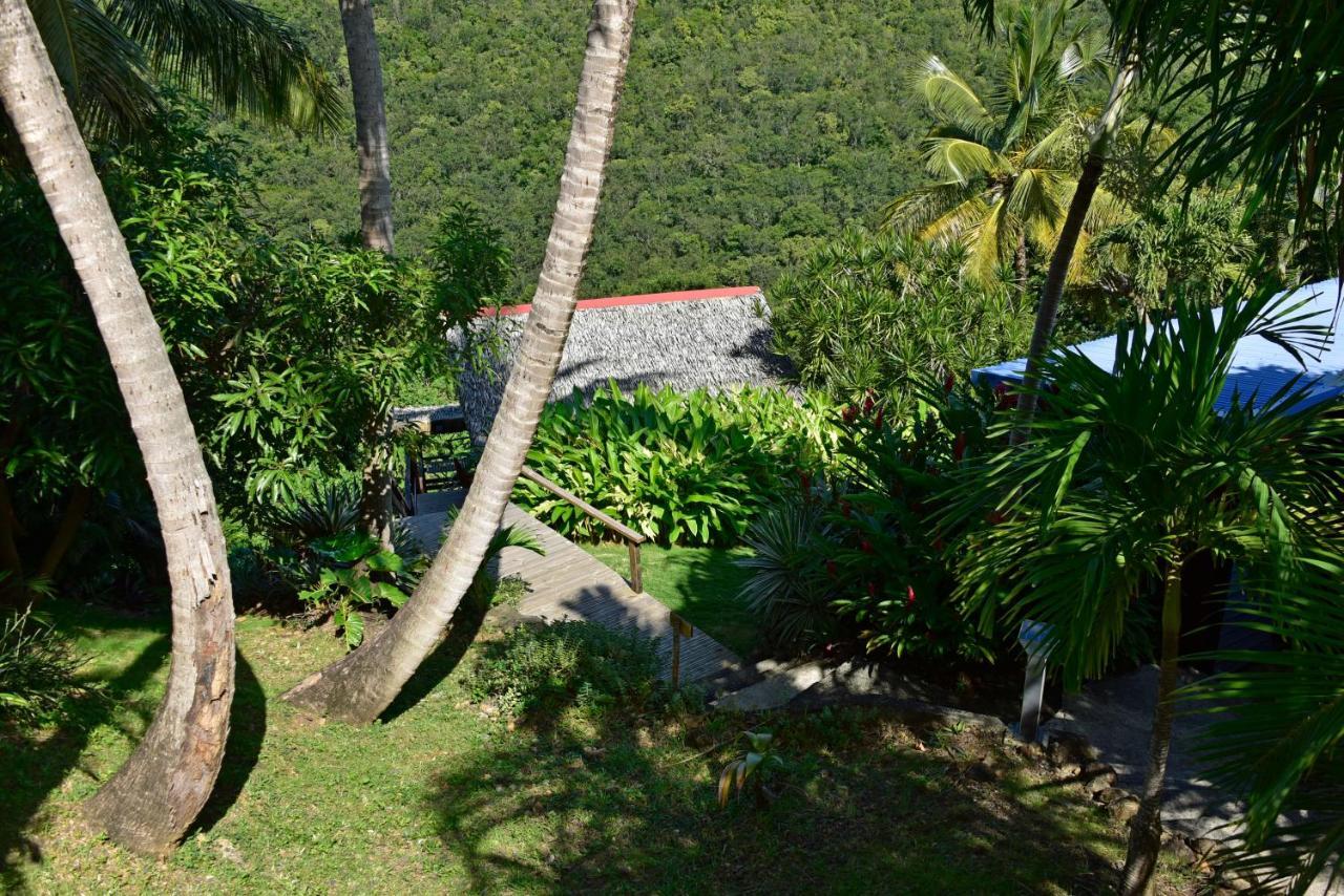 Vila Domaine Karaibes Deshaies Exteriér fotografie