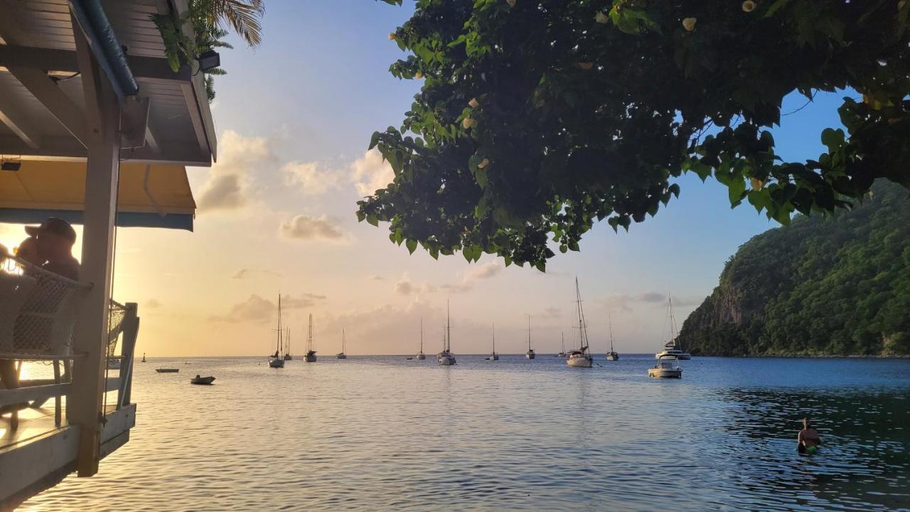 Vila Domaine Karaibes Deshaies Exteriér fotografie