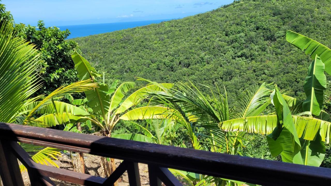 Vila Domaine Karaibes Deshaies Exteriér fotografie
