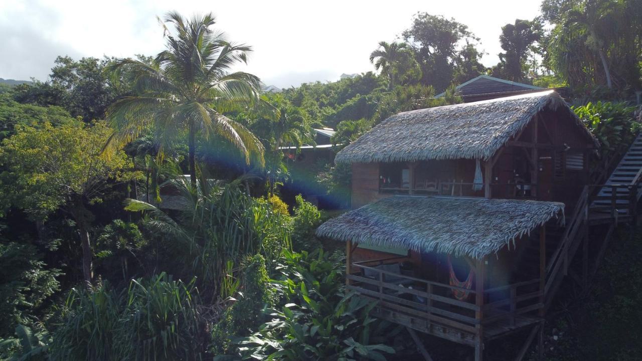 Vila Domaine Karaibes Deshaies Exteriér fotografie